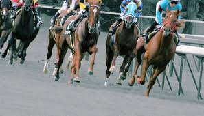 競馬ヘッドライン - News update