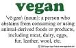 Definition vegan