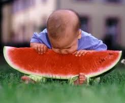 Image result for pemakanan