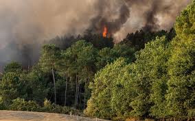 News source: Charente Libre