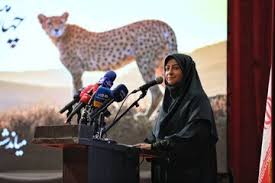 حفاظت از یوز آسیایی را با قوت دنبال می‌کنیم