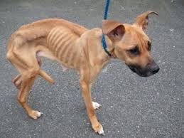 Hoy debería ser especial, pero me siento sola. 