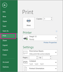 Image result for print preview screen without preview