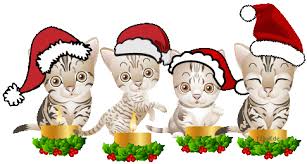 Bildergebnis für 4ter advent bilder lustig