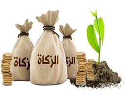 هل هناك كفارة على تأخير الزكاة؟.. الحكم الشرعي