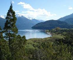 Bosque Andino Patagonico: Images?q=tbn:ANd9GcTfWABIMElGTYcEpJpqEx5K7UcB0A5wBrK9LKQmyfZ74M7Mu4peMQ