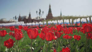 Trend Google: ucraina