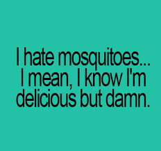 Funny Mosquito Quotes - Get Rid of Mosquito Bites via Relatably.com