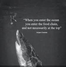Jacques Cousteau | Quotes | Pinterest | Jacques Cousteau via Relatably.com