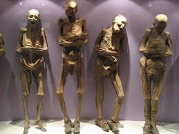 Image result for mummified corpse