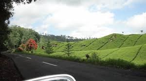 Hasil gambar untuk foto wisata bandung selatan ciwidey