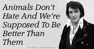 Gorgeous Quotes from the King Himself - Elvis Presley! via Relatably.com