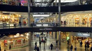 Image result for Mall of America inside