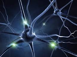 neuro rehab