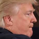 Russia meddling probe: Special counsel