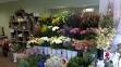 Florist in Whitley Bay delivering flowers in Whitley Bay Florists