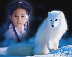 Image result for 狐狸精