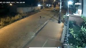 ¡Casi Frito! Ladrón Intenta Robar Medidor en Luque y Recibe Shock - Imagen principal del artículo
