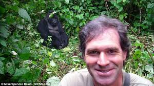Gorillas in the mist: Mike Spencer Bown with in Rwanda in 2010 during his travels - article-2499853-1957E14800000578-948_634x355