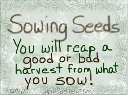 Harvest Your Reap Quotes. QuotesGram via Relatably.com