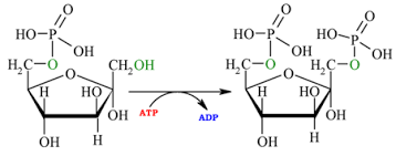 Resultado de imagen para dihidroxiacetona 3d