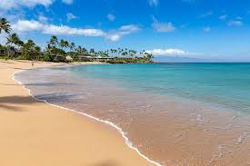 Maui Now - News update
