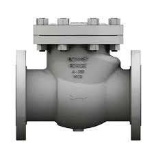 Bonney Forge Cast Steel Check Valve - Alyamitech