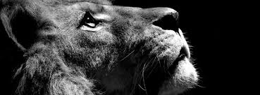 R&eacute;sultat de recherche d'images pour 