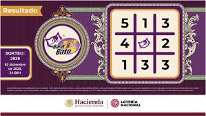 Lotería Nacional Sorteo Mayor 3995