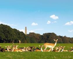 Image de Phoenix Park Dublin