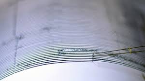 Sismo de 6.9 grados enciende alertas en Japón, por pequeñas olas de tsunami