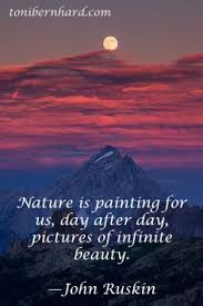 nature is my home♡ on Pinterest | Nature Quotes, John Muir and Nature via Relatably.com