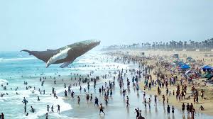 Image result for MAGIC LEAP