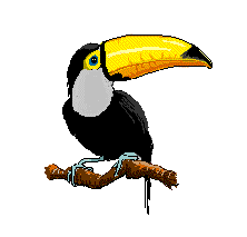 Image result for rainforest animation animals