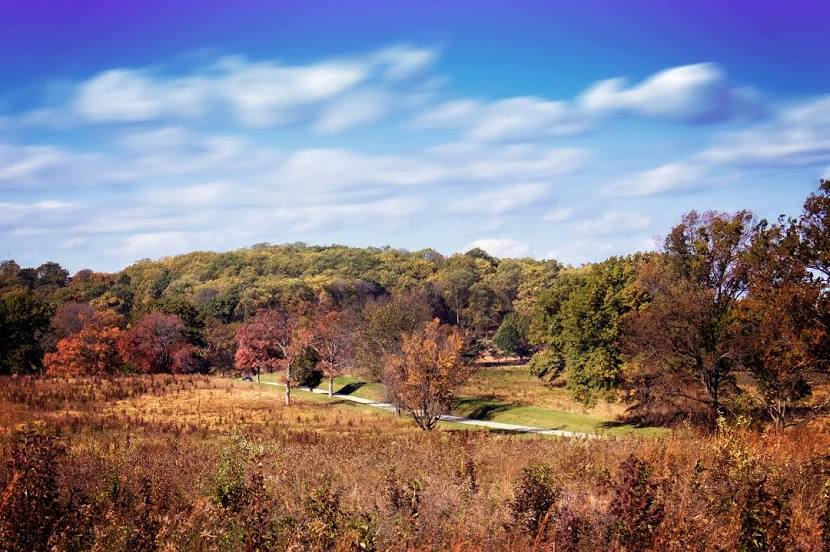 Paint Protection Phoenixville