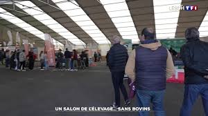 TF1.fr - News update