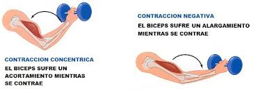 Resultado de imagen de agujetas musculares