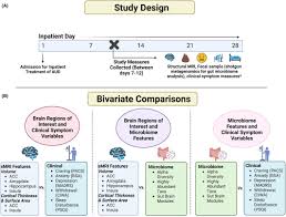 Altered Brain Structure and Symptom Severity Associated with Gut Microbiome in Heavy Drinkers - 1