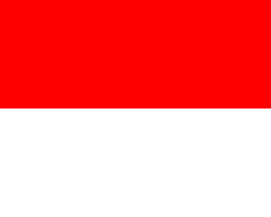 صورة Flag of Indonesia