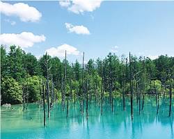 北海道の青い池の画像