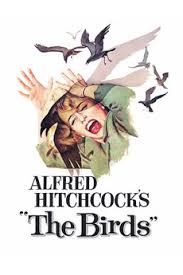 Image result for images the birds hitchcock