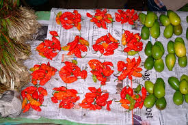 Image result for manipur images