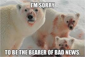 Image result for bear puns