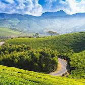 Munnar