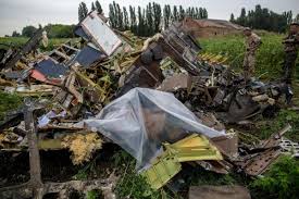 Image result for mh17 wings