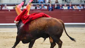 Pavorosa voltereta de Luis Gerpe en Las Ventas