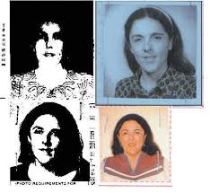 Image result for stanley armour dunham surf