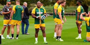 SA Rugby - News update