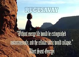 Quotes by Albert Szentgyorgyi @ Like Success via Relatably.com