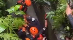 News source: News.com.au